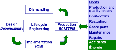 Life Cycle Management