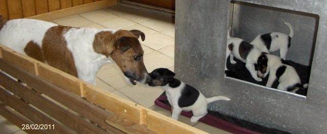 Where is the snack?<BR>
Baika and Dali.