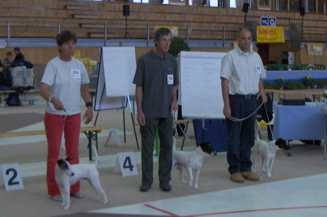 L'équipe - Arko, Baryton et Brio du Château de la Sarraz.