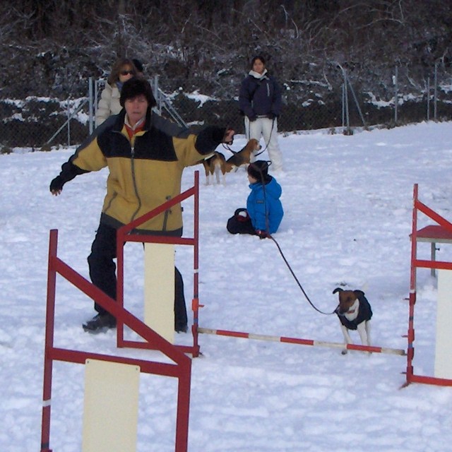 Learning by doing: Cyno Club Bussigny.