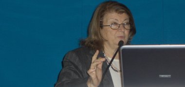 Prof. Arch. Gabriella Caterina<BR>
Università degli Studi, Napoli Federico II<BR>
Facoltà di Architettura<BR>
Corso di Laurea Magistrale in Manutenzione e Gestione Edilizia e Urbana.